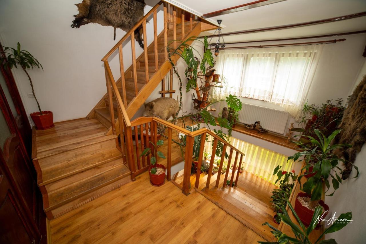 Готель Casa Binu Арієшень Екстер'єр фото